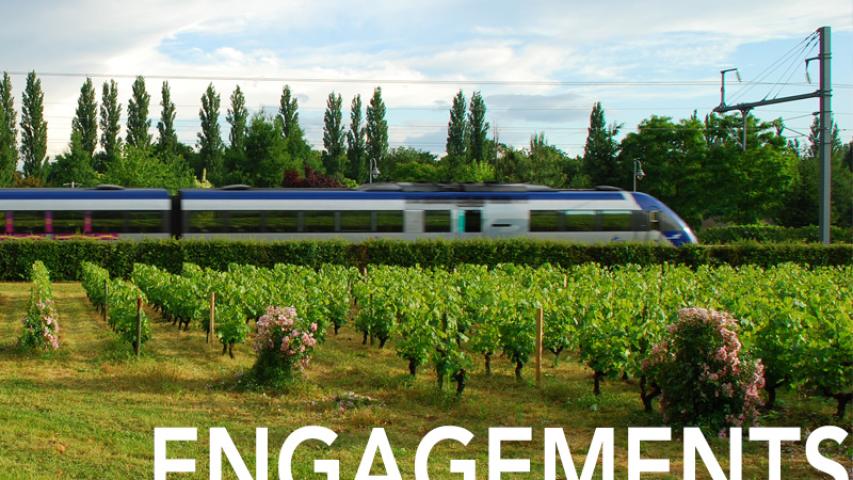 Train traversant un paysage de vignoble